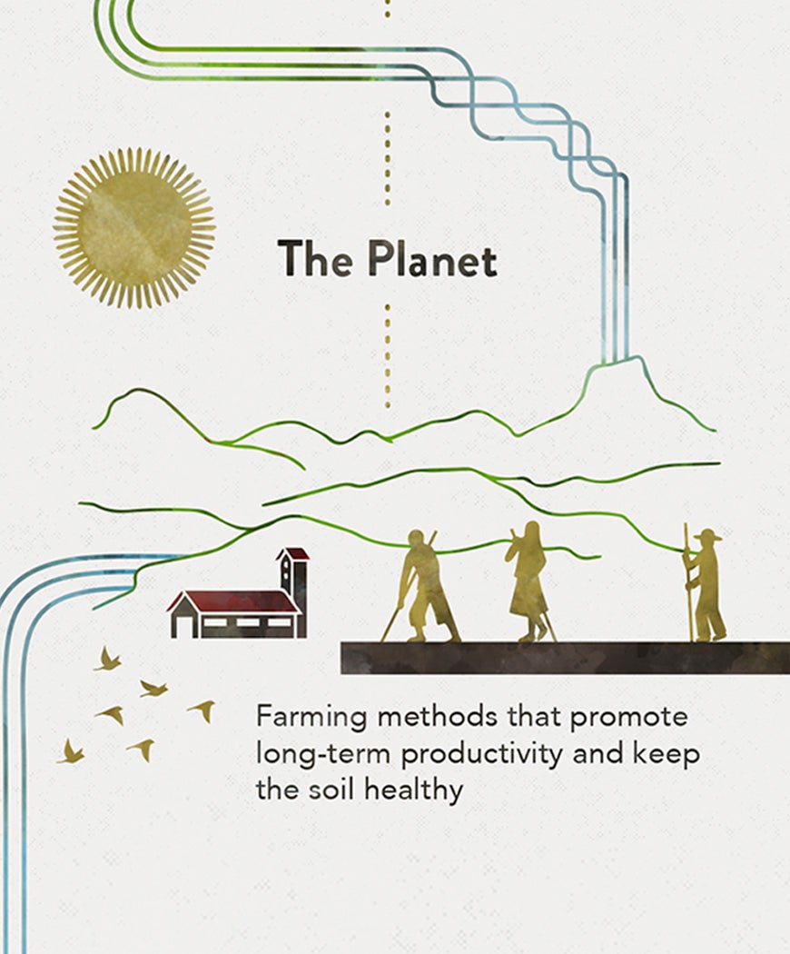 Sustainability and Our Coffee Sourcing Process Starbucks® Coffee at Home