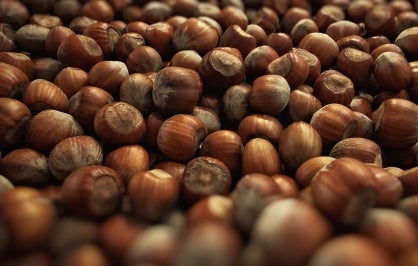 Hazelnut Syrup