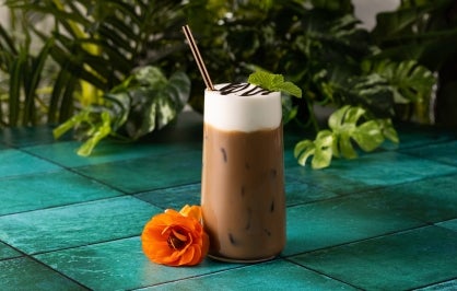 Iced Mint Chocolate Coconut
