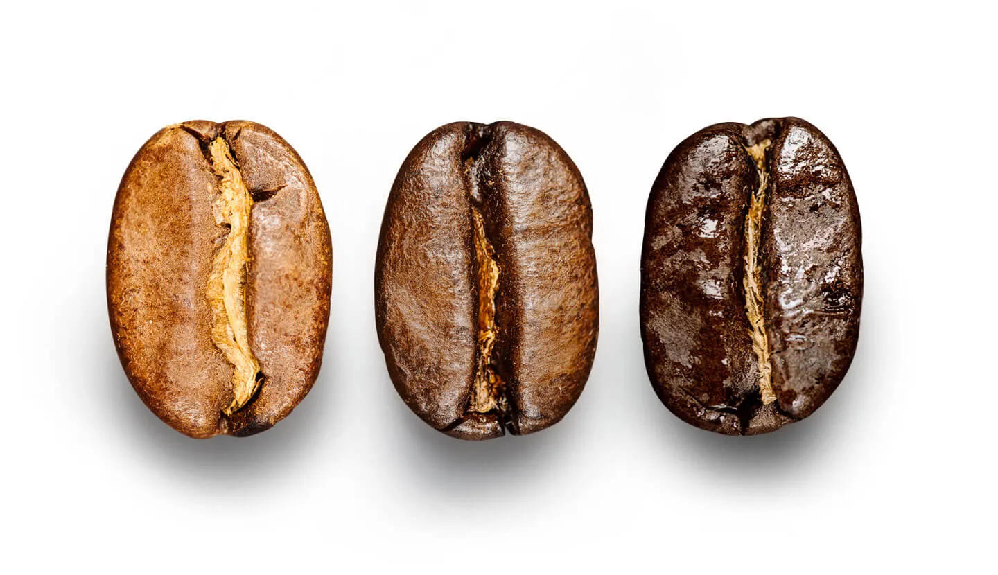 Light, Medium, Dark Roast Coffee: What's the Difference Between